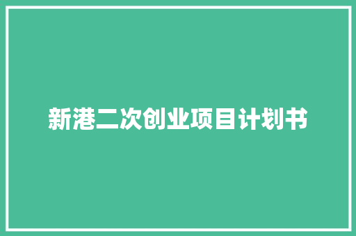 新港二次创业项目计划书