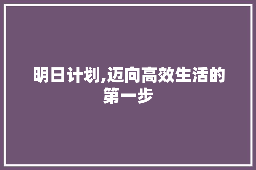 明日计划,迈向高效生活的第一步