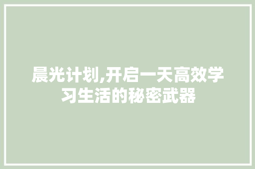 晨光计划,开启一天高效学习生活的秘密武器