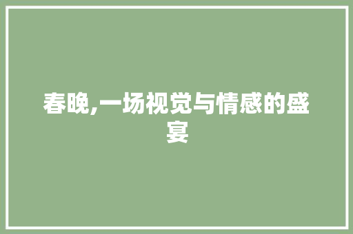 春晚,一场视觉与情感的盛宴