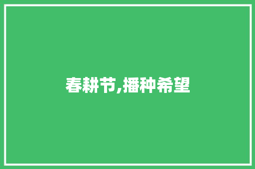 春耕节,播种希望，收获未来