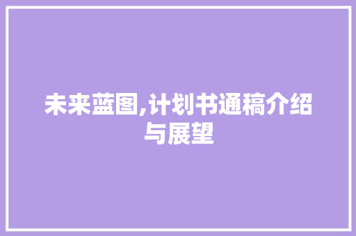 未来蓝图,计划书通稿介绍与展望