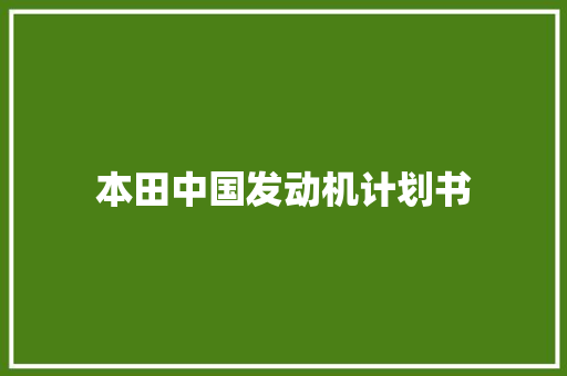 本田中国发动机计划书