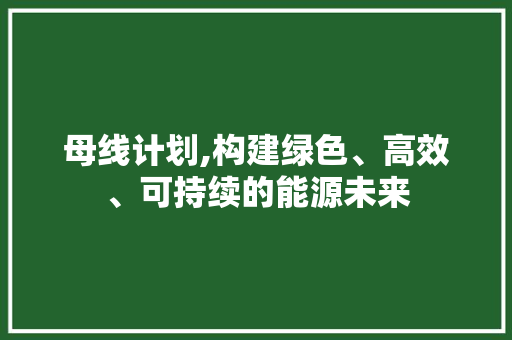 母线计划,构建绿色、高效、可持续的能源未来