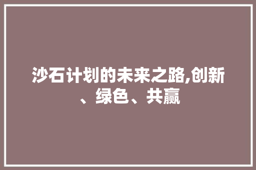 沙石计划的未来之路,创新、绿色、共赢