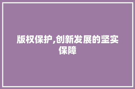 版权保护,创新发展的坚实保障