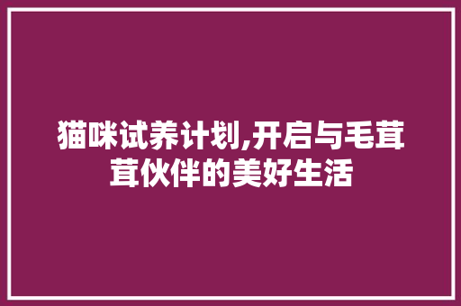 猫咪试养计划,开启与毛茸茸伙伴的美好生活