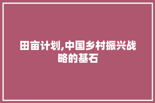 田亩计划,中国乡村振兴战略的基石