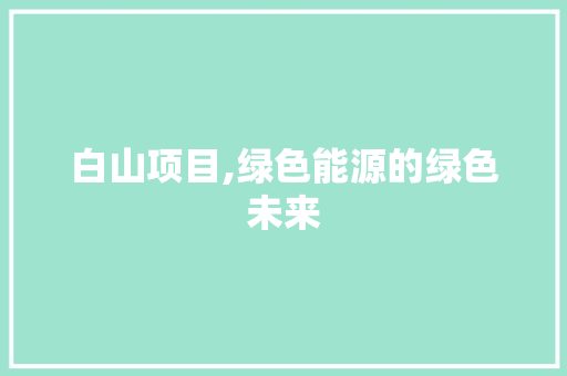 白山项目,绿色能源的绿色未来