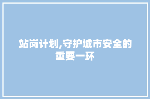 站岗计划,守护城市安全的重要一环