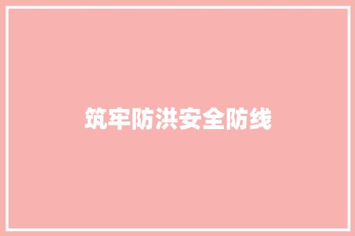 筑牢防洪安全防线，守护人民生命财产安全_我国防洪计划的实施与展望