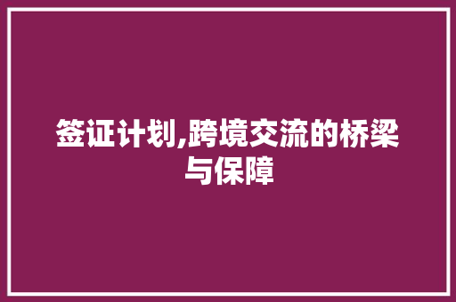 签证计划,跨境交流的桥梁与保障