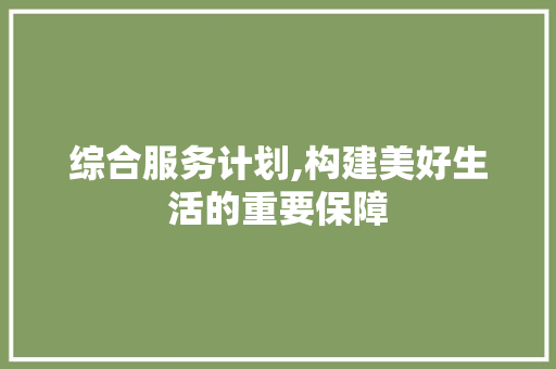 综合服务计划,构建美好生活的重要保障