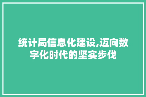 统计局信息化建设,迈向数字化时代的坚实步伐