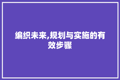 编织未来,规划与实施的有效步骤