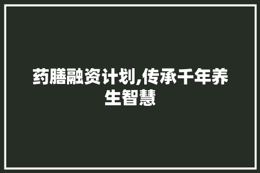 药膳融资计划,传承千年养生智慧，引领健康产业发展新潮流