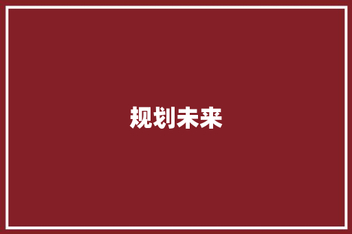 规划未来，筑梦前行,计划书中的智慧与力量
