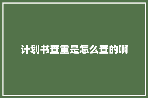 计划书查重是怎么查的啊