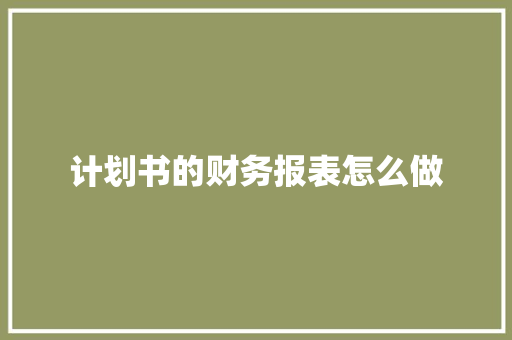 计划书的财务报表怎么做