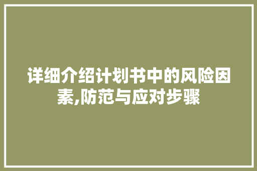 详细介绍计划书中的风险因素,防范与应对步骤