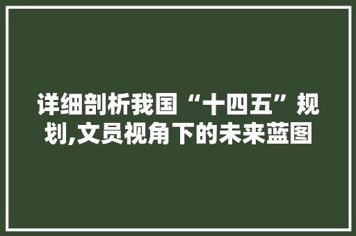 详细剖析我国“十四五”规划,文员视角下的未来蓝图