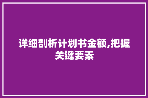 详细剖析计划书金额,把握关键要素，助力项目成功