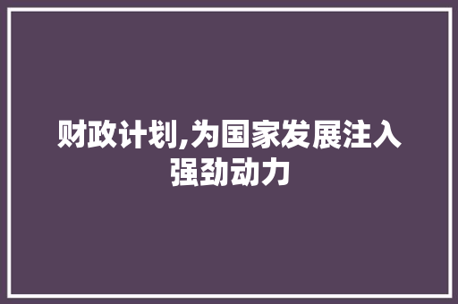 财政计划,为国家发展注入强劲动力