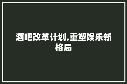 酒吧改革计划,重塑娱乐新格局，引领消费新风尚