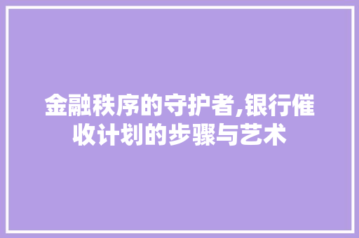 金融秩序的守护者,银行催收计划的步骤与艺术