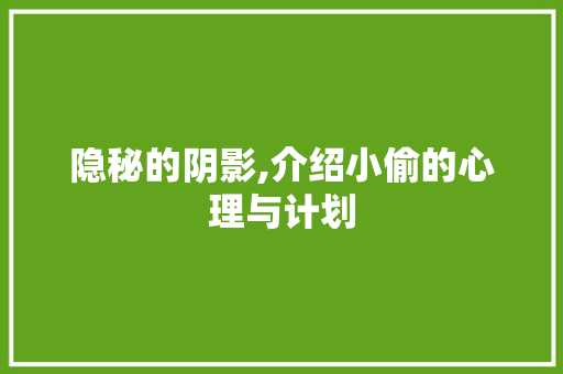 隐秘的阴影,介绍小偷的心理与计划