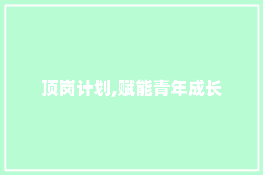顶岗计划,赋能青年成长，助力社会发展