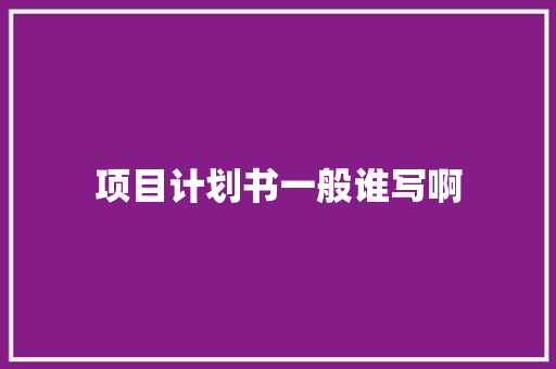 项目计划书一般谁写啊