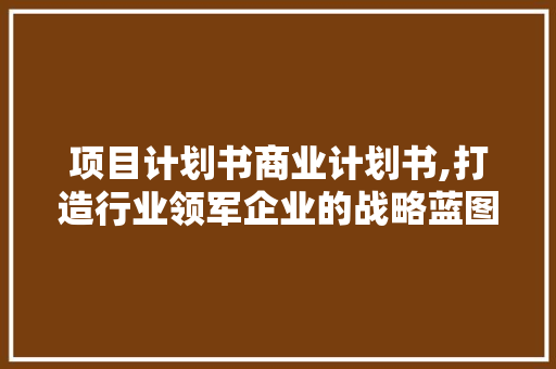 项目计划书商业计划书,打造行业领军企业的战略蓝图