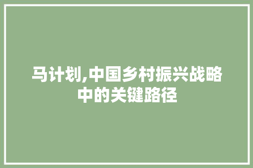 马计划,中国乡村振兴战略中的关键路径