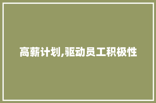 高薪计划,驱动员工积极性，助力企业腾飞