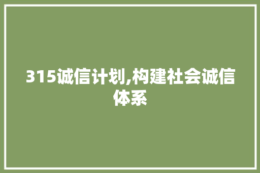 315诚信计划,构建社会诚信体系，守护消费者权益