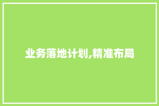 业务落地计划,精准布局，稳健前行