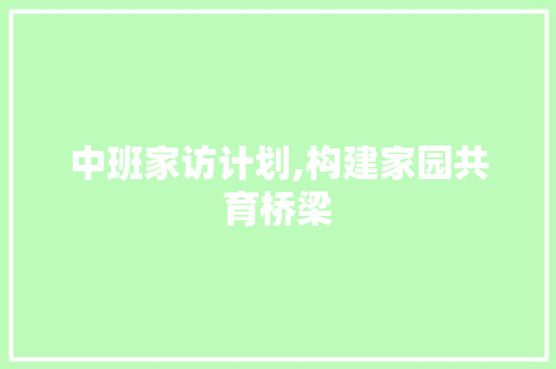 中班家访计划,构建家园共育桥梁，助力孩子全面发展