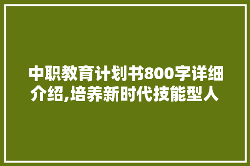 中职教育计划书800字详细介绍,培养新时代技能型人才的关键路径