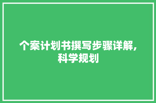 个案计划书撰写步骤详解,科学规划，助力成功