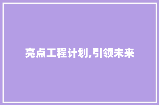 亮点工程计划,引领未来，助力高质量发展
