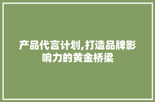 产品代言计划,打造品牌影响力的黄金桥梁