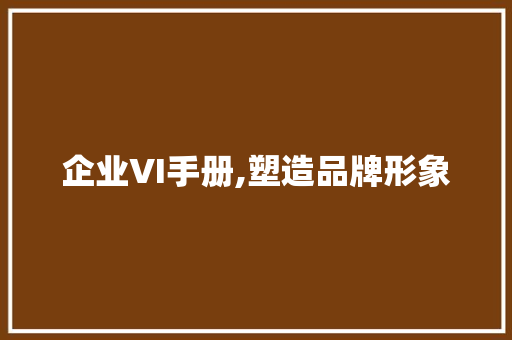企业VI手册,塑造品牌形象，引领企业文化