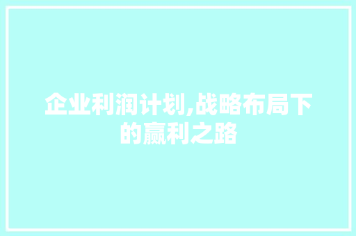企业利润计划,战略布局下的赢利之路