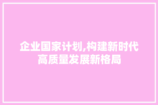 企业国家计划,构建新时代高质量发展新格局