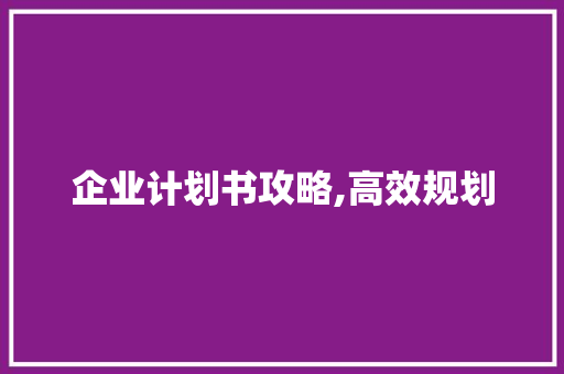 企业计划书攻略,高效规划，引领企业成功之路