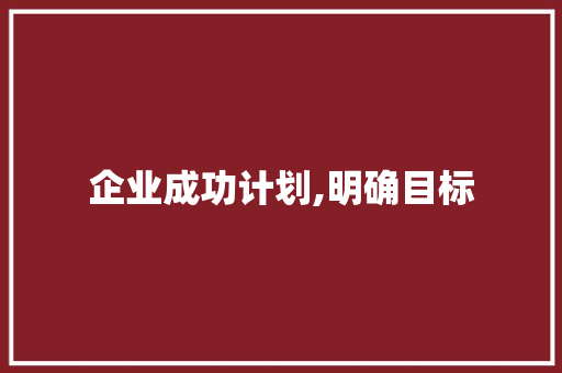 企业成功计划,明确目标，精准执行，助力企业腾飞