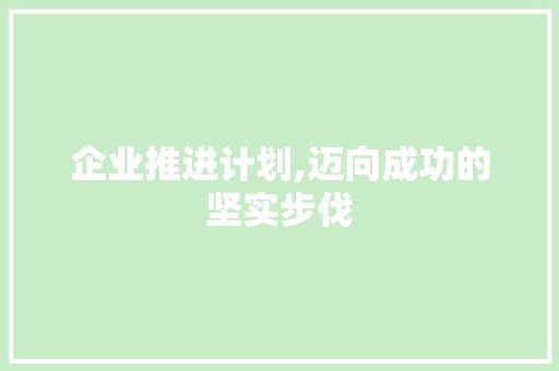 企业推进计划,迈向成功的坚实步伐