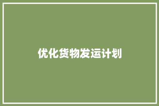 优化货物发运计划，提升物流效率_以某物流公司为例