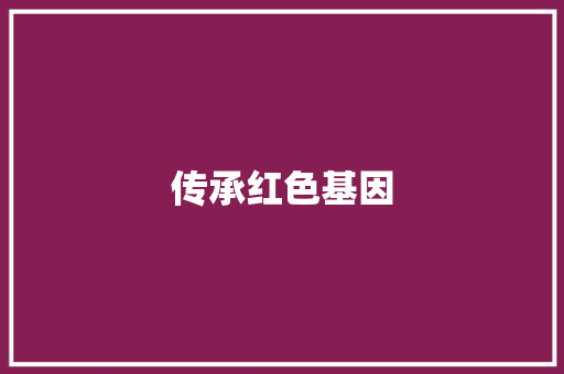 传承红色基因，争做新时代少先队员_我的加入少先队计划